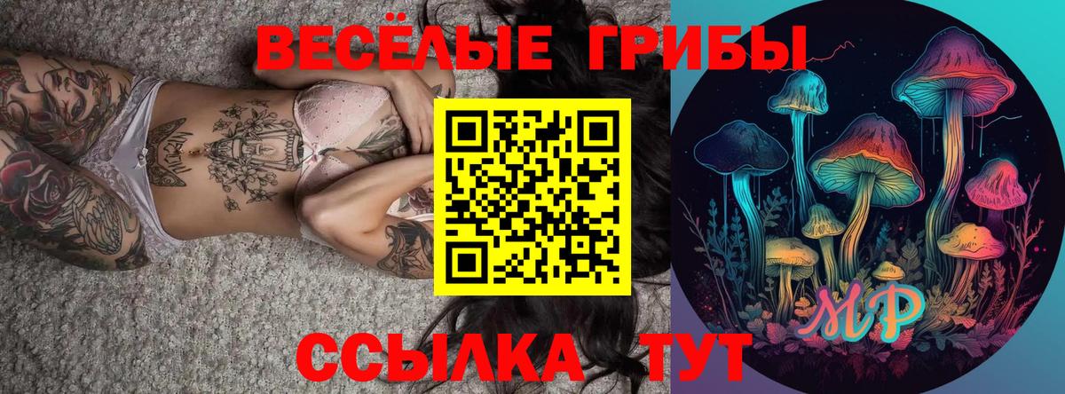 Псилоцибиновые грибы Psilocybe  Вход с VPN  Псилоцибиновые грибы мухоморы  Павловский Посад 
